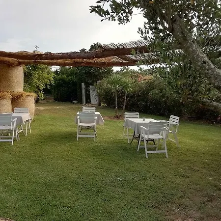 Vacanza In