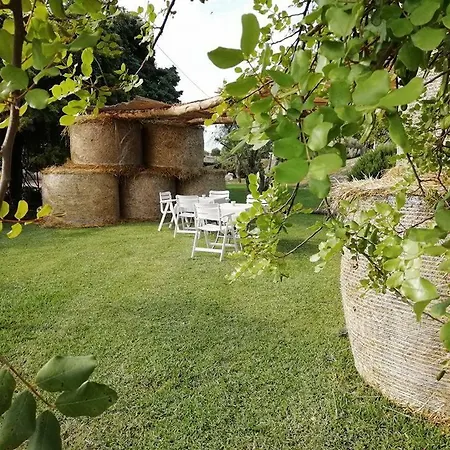 Vacanza In بيت للعطل *